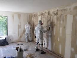 Mold Remediation for Rental Properties in Fairview Park, OH